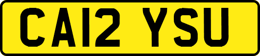 CA12YSU
