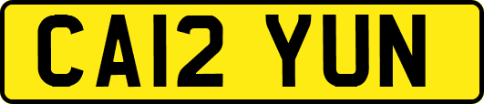 CA12YUN