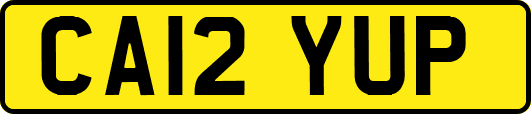 CA12YUP
