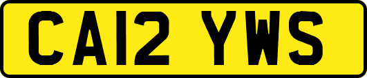 CA12YWS