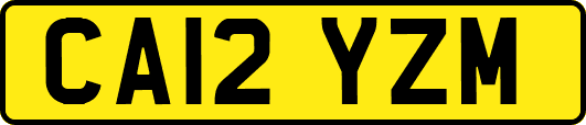 CA12YZM