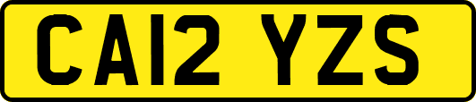 CA12YZS