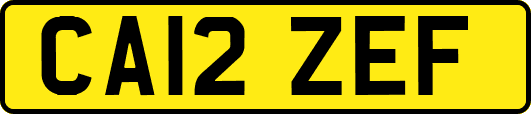 CA12ZEF