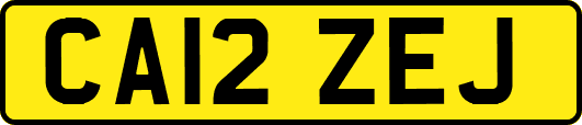 CA12ZEJ