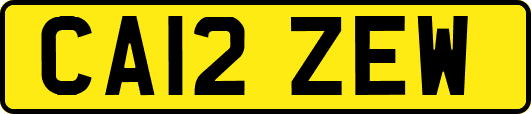 CA12ZEW