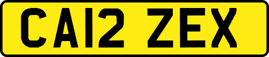 CA12ZEX