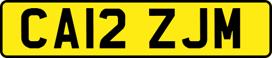 CA12ZJM