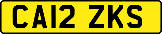CA12ZKS