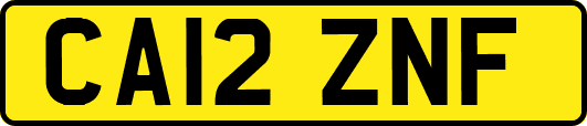 CA12ZNF