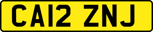 CA12ZNJ