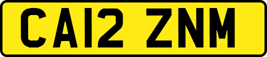 CA12ZNM