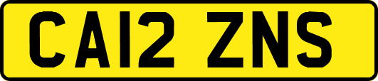 CA12ZNS