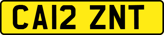 CA12ZNT