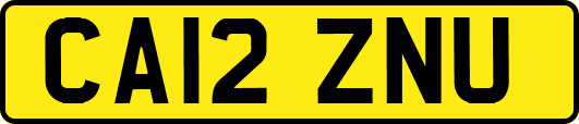 CA12ZNU