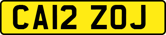 CA12ZOJ