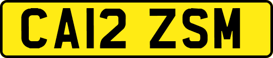 CA12ZSM