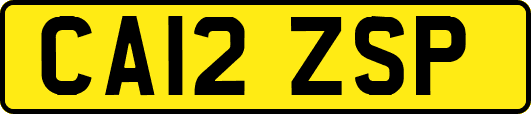CA12ZSP