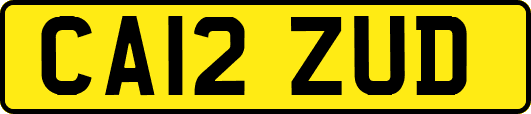 CA12ZUD