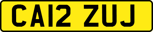 CA12ZUJ