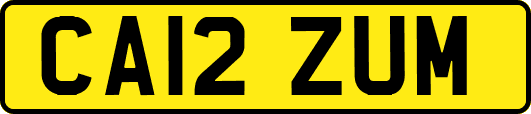 CA12ZUM