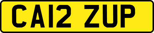 CA12ZUP