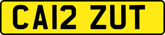 CA12ZUT