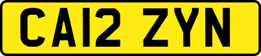 CA12ZYN