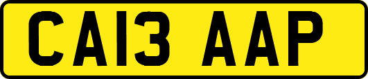 CA13AAP