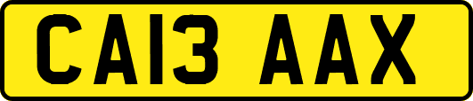 CA13AAX