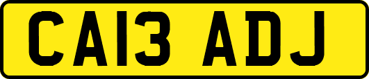 CA13ADJ