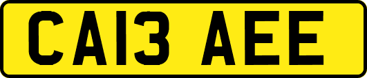 CA13AEE