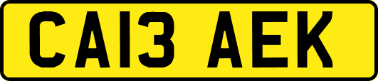 CA13AEK