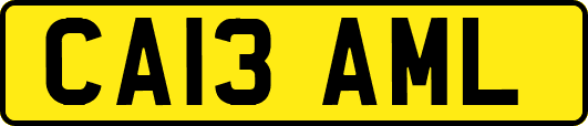CA13AML