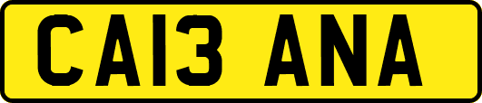 CA13ANA