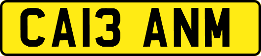 CA13ANM