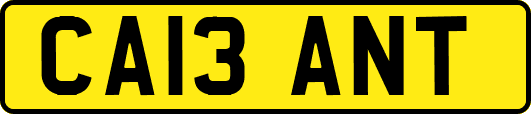 CA13ANT
