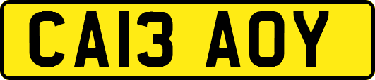 CA13AOY