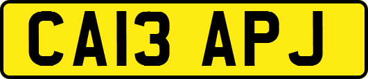 CA13APJ