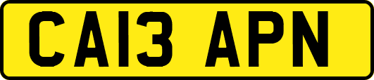 CA13APN