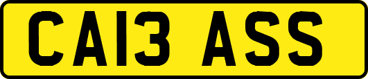 CA13ASS