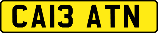 CA13ATN