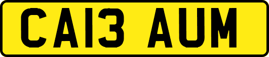 CA13AUM