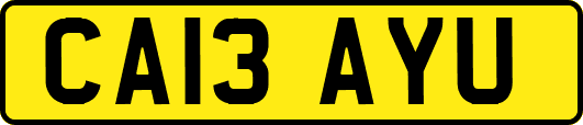 CA13AYU