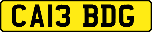CA13BDG