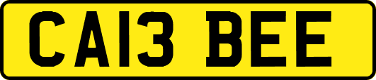 CA13BEE