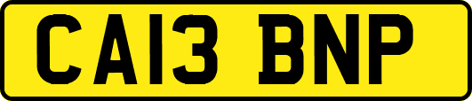 CA13BNP