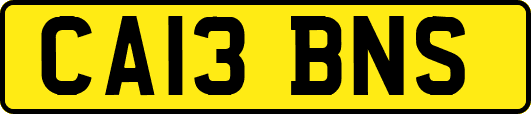 CA13BNS