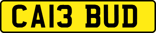CA13BUD