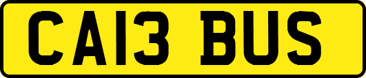 CA13BUS
