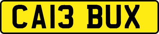 CA13BUX